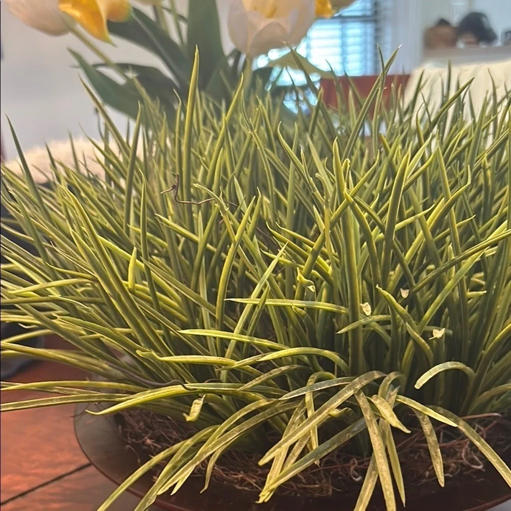 Artificial Green Grass Plant in Decorative Wood Pot from Haverty’s
